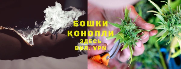тгк Арсеньев